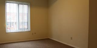 TRENT 543 Gallery 14