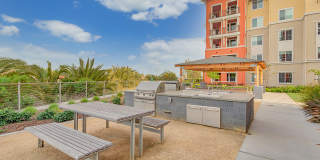 Blu Harbor by Windsor Gallery 63