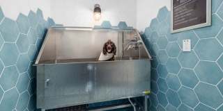 The Range On Oleander Gallery 65