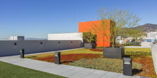 The Brand Gallery 12