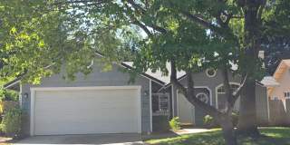 819 Black Walnut Way Gallery 1