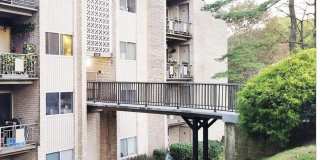 12301 BRAXFIELD CT #15 Gallery 1
