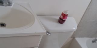 Spacious 1 bed, 1 bath in Great Location Gallery 6