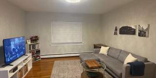 See YT Video!  No Fee!  Huge & Sunny Apt near Ts & Cleveland Cirlce.  Cat Friendly Gallery 6