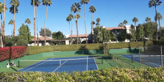 1100 E Amado Road Gallery 16