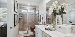 L'Attitude 34 Dillard Creek Gallery 14