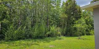*****BEAUTIFUL 4/2 HOME IN PALM COAST SCREENED IN LANI *****BEAUTIFUL 4/2 HOME IN PALM COAST SCREENED IN LANI Gallery 18