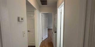 41 Kipp Avenue Gallery 20