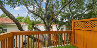 3183 BAYSHORE OAKS DRIVE Gallery 22
