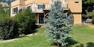 Cozy 1 Bed/1 Bath Gallery 1