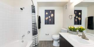 Palermo Apartments Gallery 12