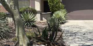 41520 N RIVER BEND Court Gallery 4