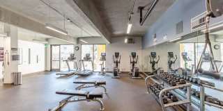 Carrington Gallery 5