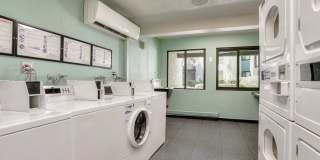 4200 Paradise Gallery 30