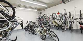 The Hemlock Gallery 24