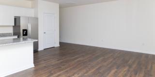 Move In Ready!! Gallery 4