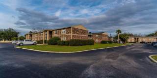 Sea Oats Sea Oats Gallery 27