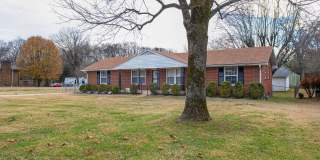 Stunning 4BE/2.5BA home  at corner lot single story home! Gallery 4