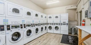 ReNew on Temple ReNew on Temple Gallery 26