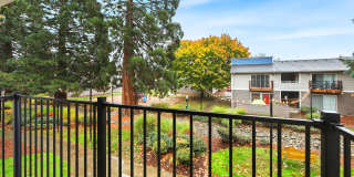 Driftwood Gallery 48