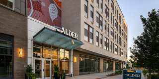 The Alder Gallery 49