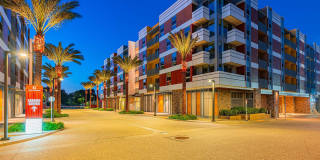 Citrus Commons Gallery 58