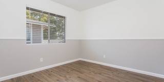 527 Spring Road Gallery 20