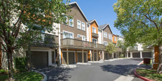 Artisan Square Gallery 11
