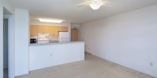 1315 Kalakaua Ave #1911 Gallery 3