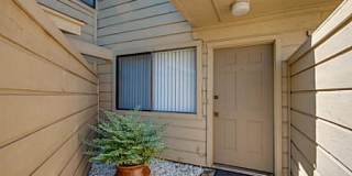 4407 Carter Creek Pkwy Apt 2 Gallery 1