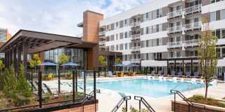 Fellow at Fitz Gallery 10