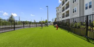 Madison Waterford Lakes Gallery 31