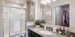 Austin Springs Gallery 12