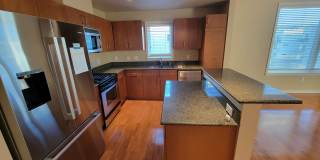 Luxury, Spacious 1 bedroom Apartment in Boulder at the Famous Peloton Gallery 15