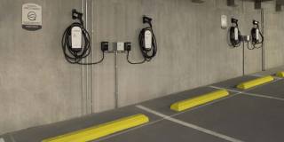 Camden Durham Gallery 53