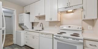 Spacious Ground Floor Condo in Silver Spring Gallery 7