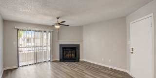 Rise on Cactus Gallery 31