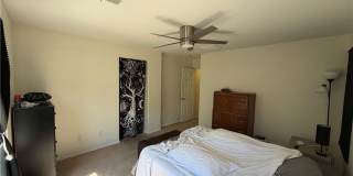 2515 Begonia Valley Avenue Gallery 12