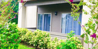 10263 GANDY Boulevard N Gallery 2