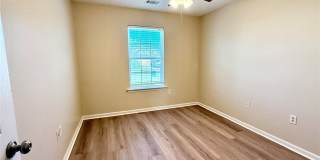 204 Standing Pine Circle Gallery 11