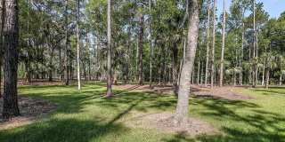 Grand Cypress Gallery 45