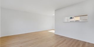 8659 Chestnut Gallery 3