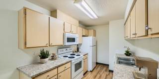 Avalon Park Gallery 1