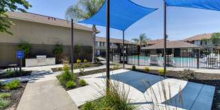 Chardonnay Ridge Gallery 16