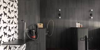 Levels at LoSo Gallery 40