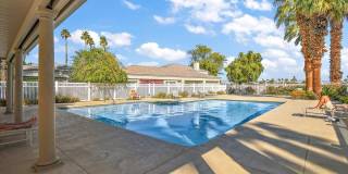 54838 Oak Tree Gallery 38