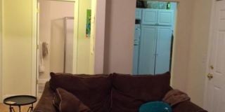 Nice 4 bed steps from BU Gallery 11