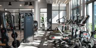 Cascade Link at Douglas Gallery 18