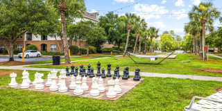 Olympus Carrington Gallery 33