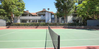 Windridge Gallery 24